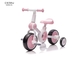 Мужские и женские трициклы младенца 4-в-Одн загрузке 30KGS